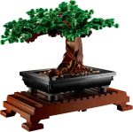 Bonsai Tree - Image 4