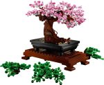 Bonsai Tree - Image 6