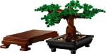 Bonsai Tree - Image 8