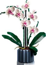 Orchid - Image 4