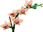 Mini Orchid - Image 9