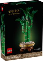 Lucky Bamboo - Image 4