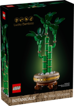 Lucky Bamboo