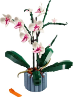 Orchid - Image 2